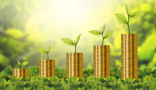 Close-up of fresh green plant with red leaves against the sky