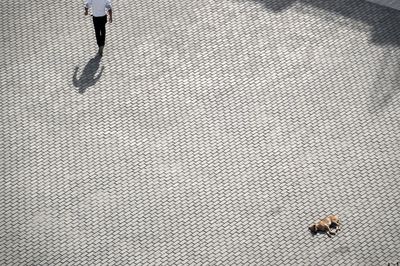 Low section of man walking on paving stone
