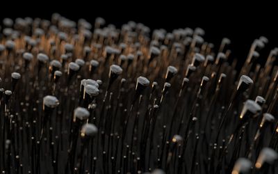 Extreme close-up of comb