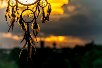 Close-up of silhouette plant against sky at sunset