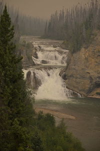 Scenic view of waterfall in forest
