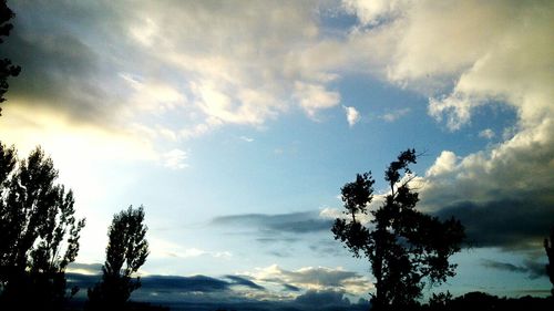 Silhouette trees against sky during sunset