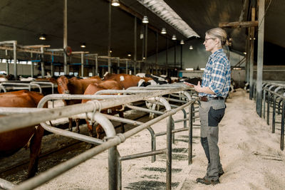 Farmer with digital tablet examining cows at cattle farm