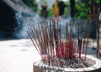 Close-up of incenses by temple