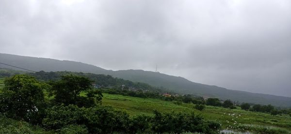 Scenic view of landscape against sky