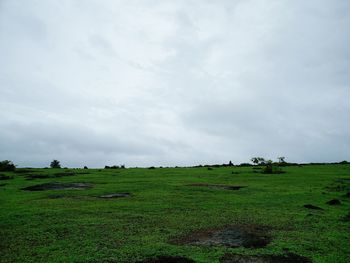 Scenic view of grassy field against cloudy sky