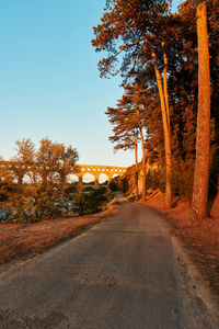 Road amidst trees at the pont-du-gard aqueduct in provence, france.