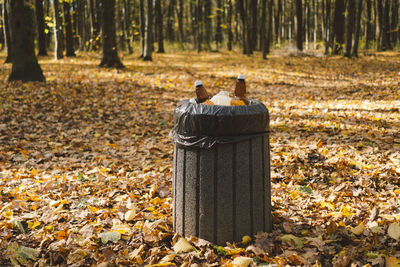 Garbage in the forest. love nature. earth day