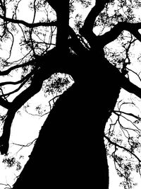 Low angle view of bare trees against sky