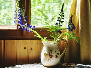 Close-up of potted plant on table