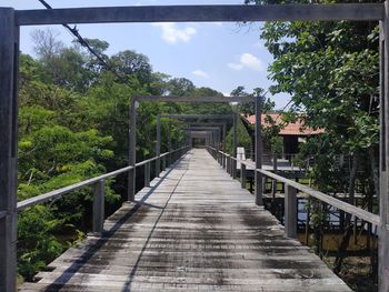 Footbridge amidst trees in forest against sky