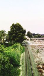 Railroad tracks amidst trees against clear sky