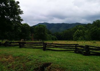 Scenic view of agricultural field against sky