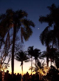 Low angle view of silhouette trees against sky at night