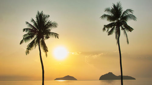 Silhouette palm tree by swimming pool against sky during sunset