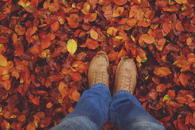 Low section of man standing on maple leaves