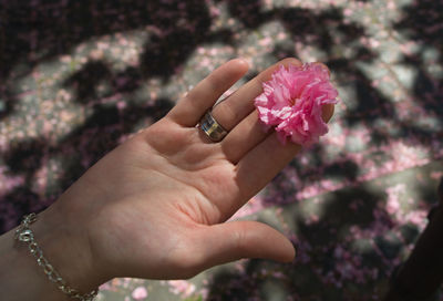 Close-up of woman hand holding pink flower outdoors