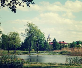 Trees at riverbank against cloudy sky