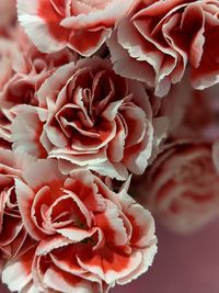 Close-up of rose bouquet