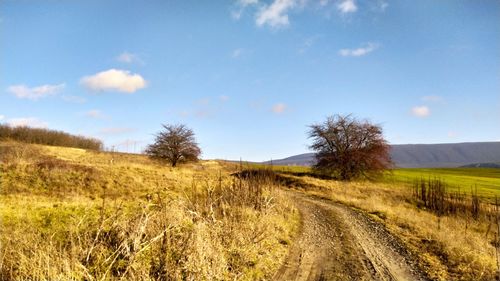 Dirt road amidst field against sky