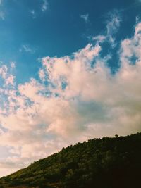 Low angle view of trees against sky