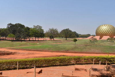 Trees on field against clear sky