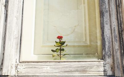 Close-up of flower vase on glass window