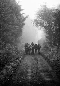 Rear view of people walking amidst trees on dirt road during foggy weather
