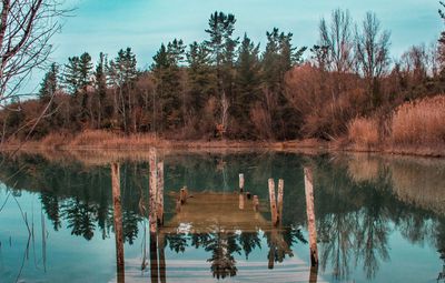 Reflection of trees in lake against sky