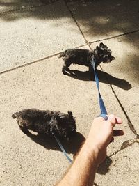 Shadow of woman holding hands