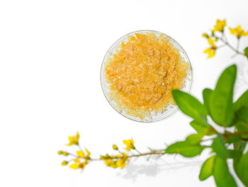 Directly above shot of yellow slices on white background