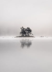 Trees on snow covered landscape against sky