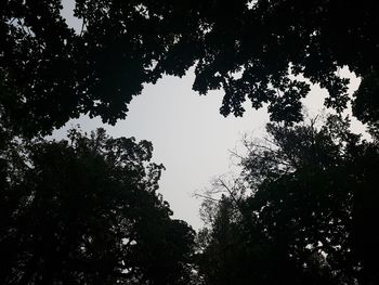 Low angle view of silhouette trees against clear sky