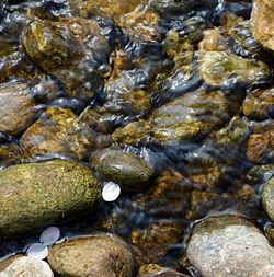 High angle view of stones in river