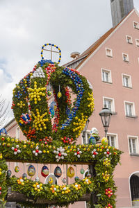 Low angle view of flowering plant against building