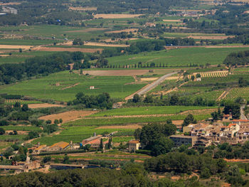 Scenic view of the agricultural field by houses and trees