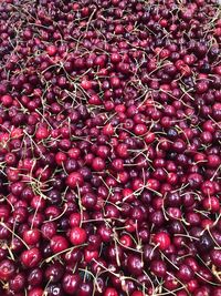 Full frame shot of berries