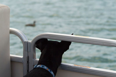 Low section of person on boat against sea