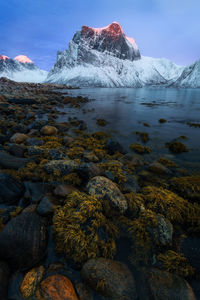 Sunset with snowcapped mountains in the backround on senja island in norway