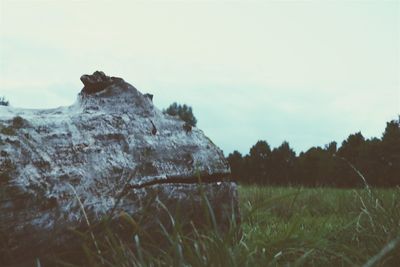 View of grassy field against sky