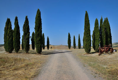 Panoramic view of dirt road amidst field against clear sky