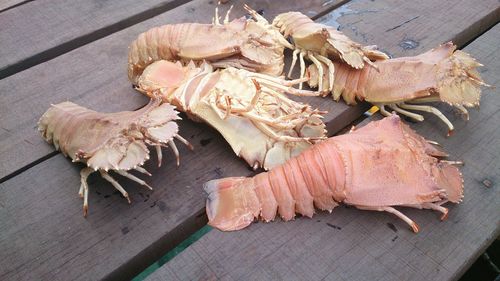 Close-up of fish on wood