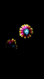 Close-up of flower over black background