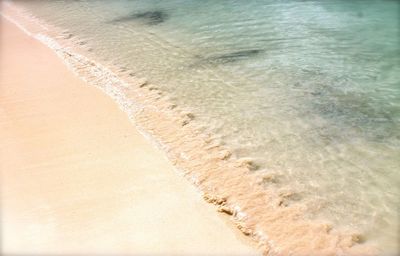 High angle view of beach