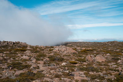 Scenic view of landscape against sky