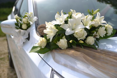 Close-up of white flowers on table