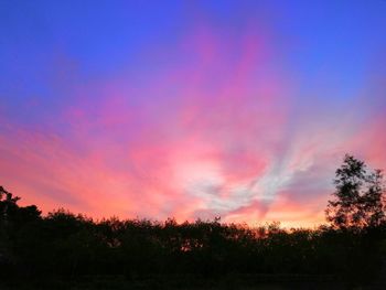 Silhouette trees against sky during sunset