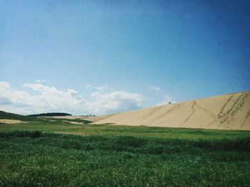 Scenic view of field against blue sky