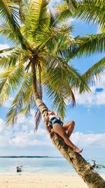 Woman by palm tree on beach against sky