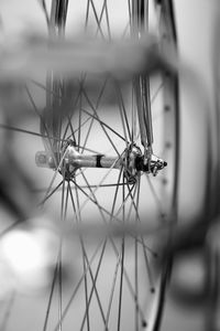 Close-up of insect on bicycle